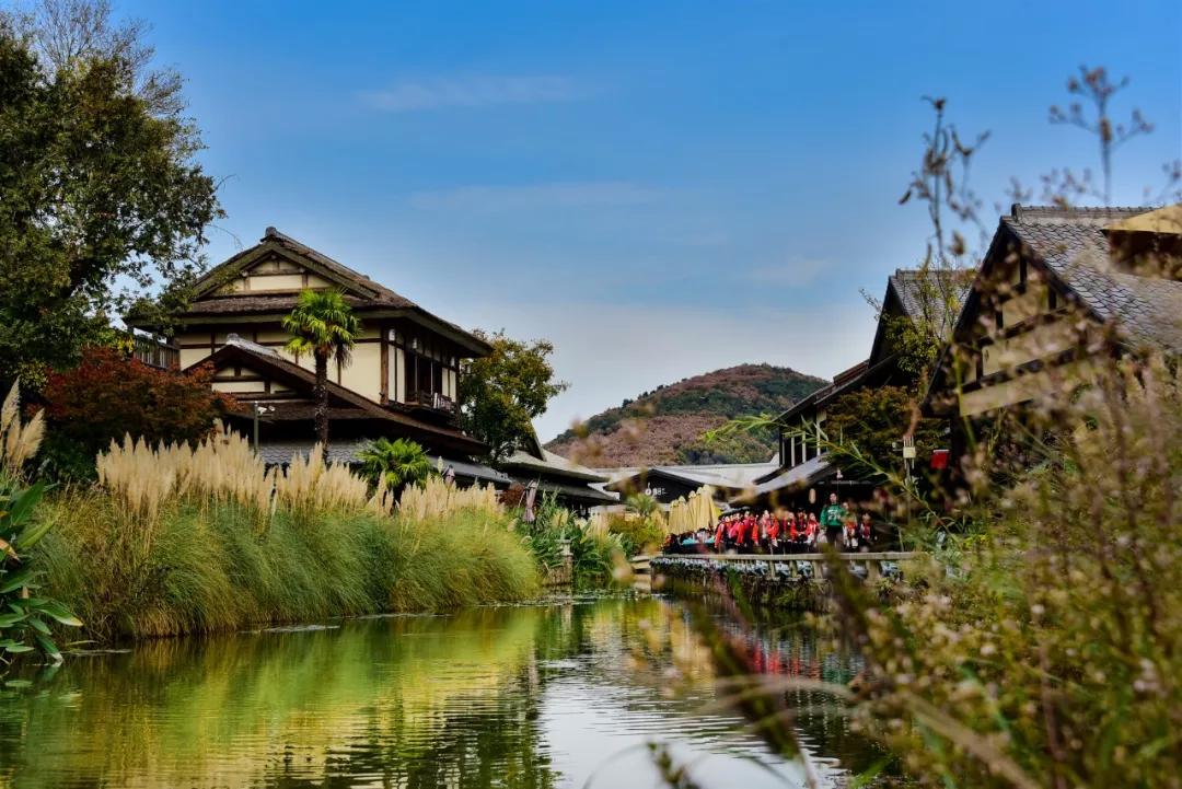 拈花湾运营方案,拈花湾运营研究