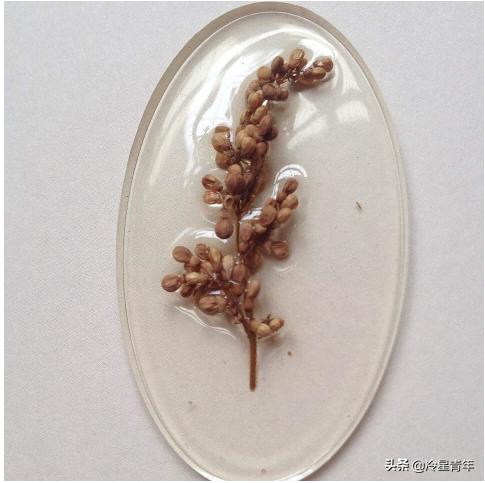 水晶滴胶工艺有哪些,水晶滴胶的原理