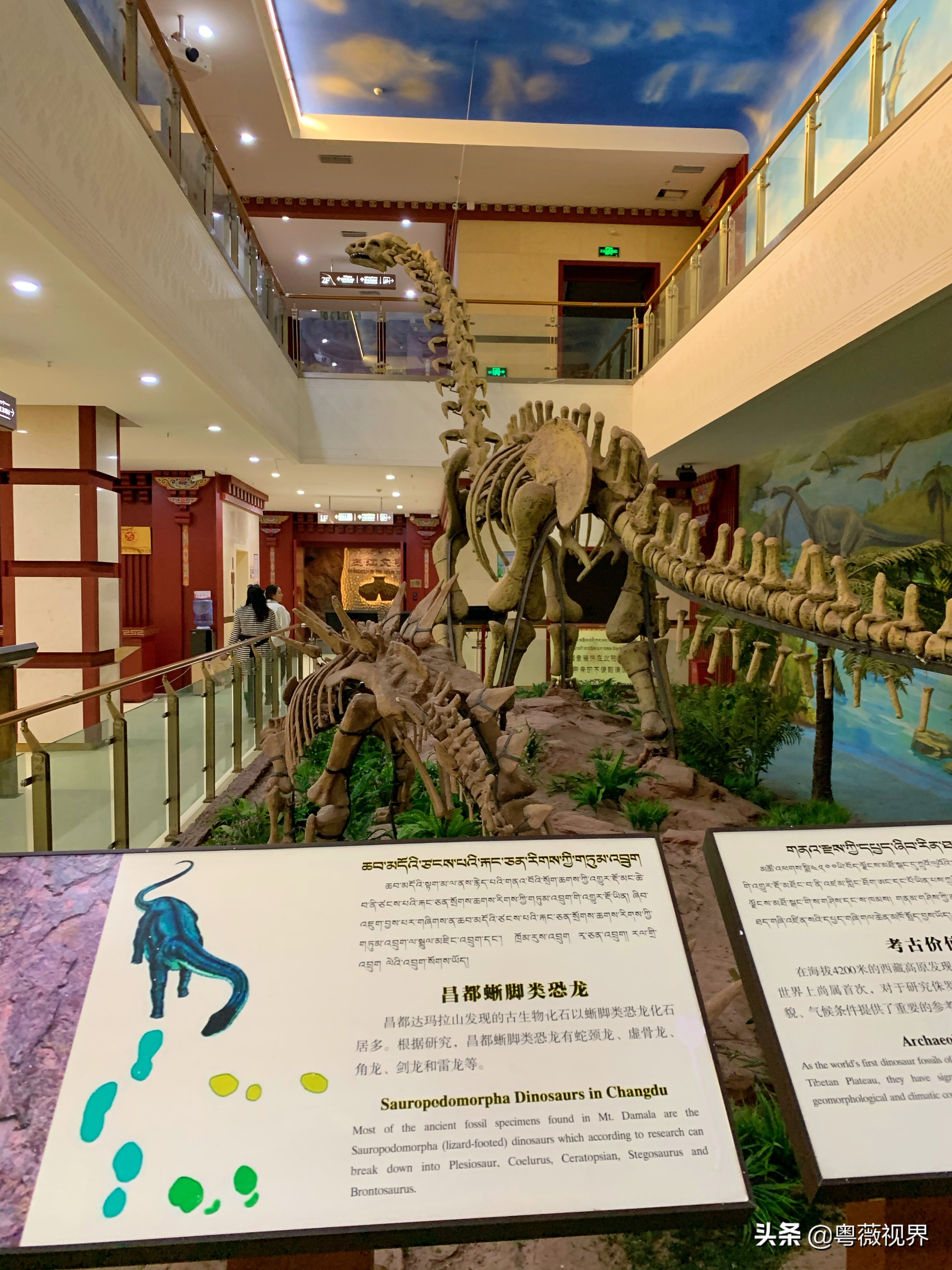 川藏自驾游走国道好还是走高速好 (g317国道川藏北线)