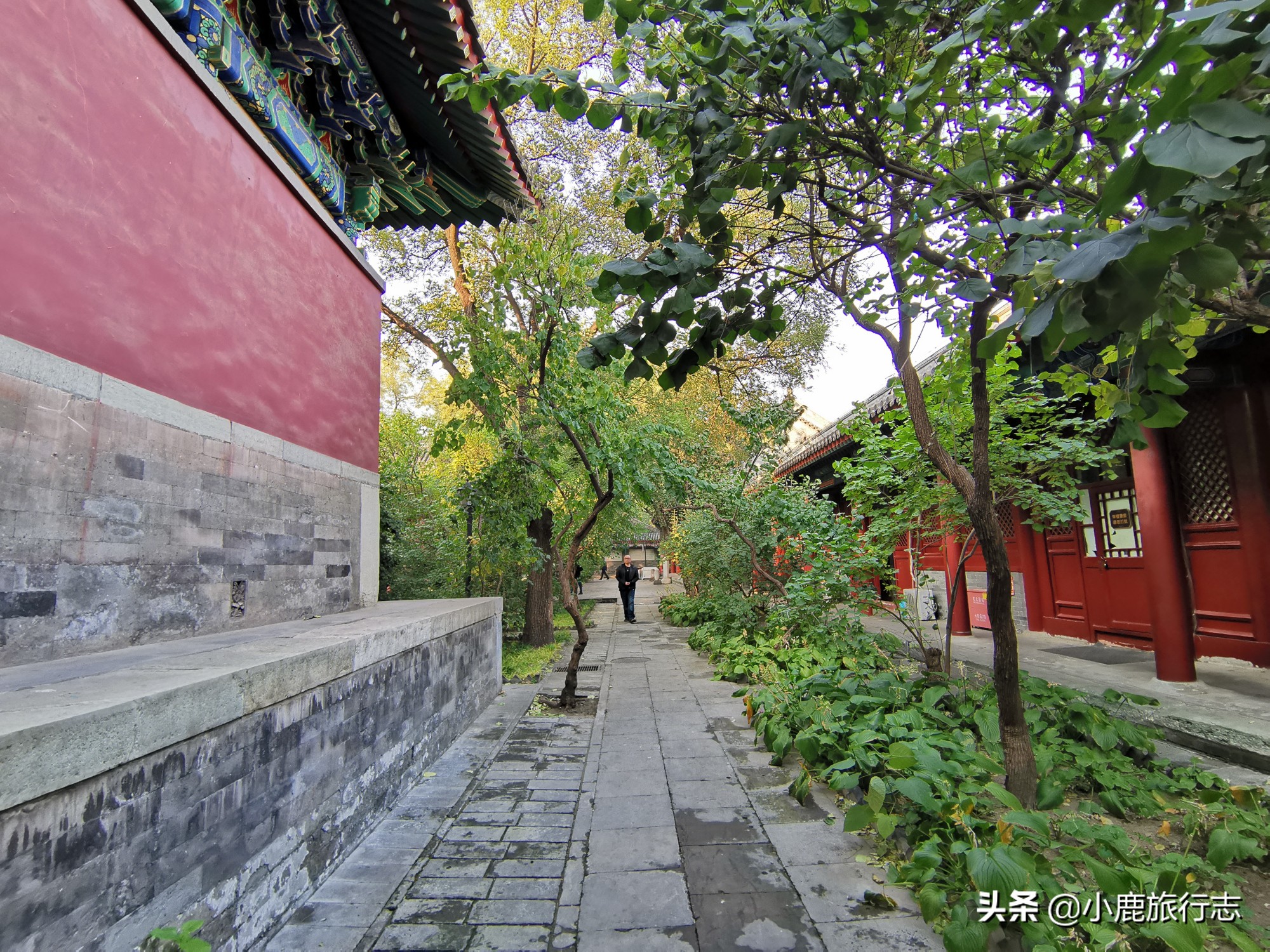 北京不出名但是比较有历史的寺庙,北京最古老规模最大的寺庙