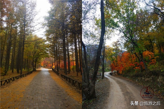 秋天忘不掉的龙道沟，还有辽东小桂林，有山有水有枫林