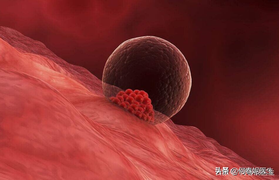 备孕怎么长出又大又圆的卵泡,还在羡慕别人怎么办