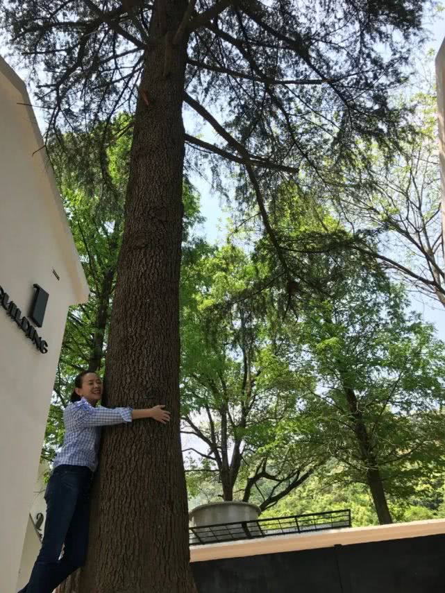 曾宝仪和曾志明,曾宝仪婚恋史