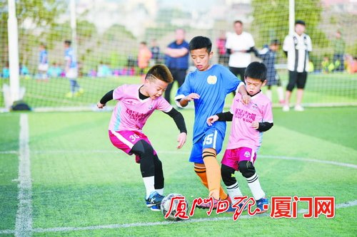 足球小将厦门球员名单,厦门足球小将照片
