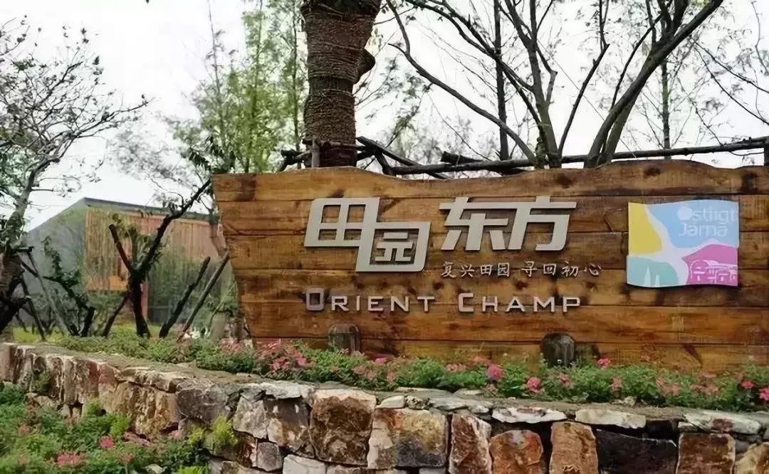 中国田园综合体运营模式,田园东方总投资实现盈利