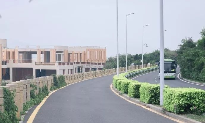 养心养肺之旅,静心养肺养心