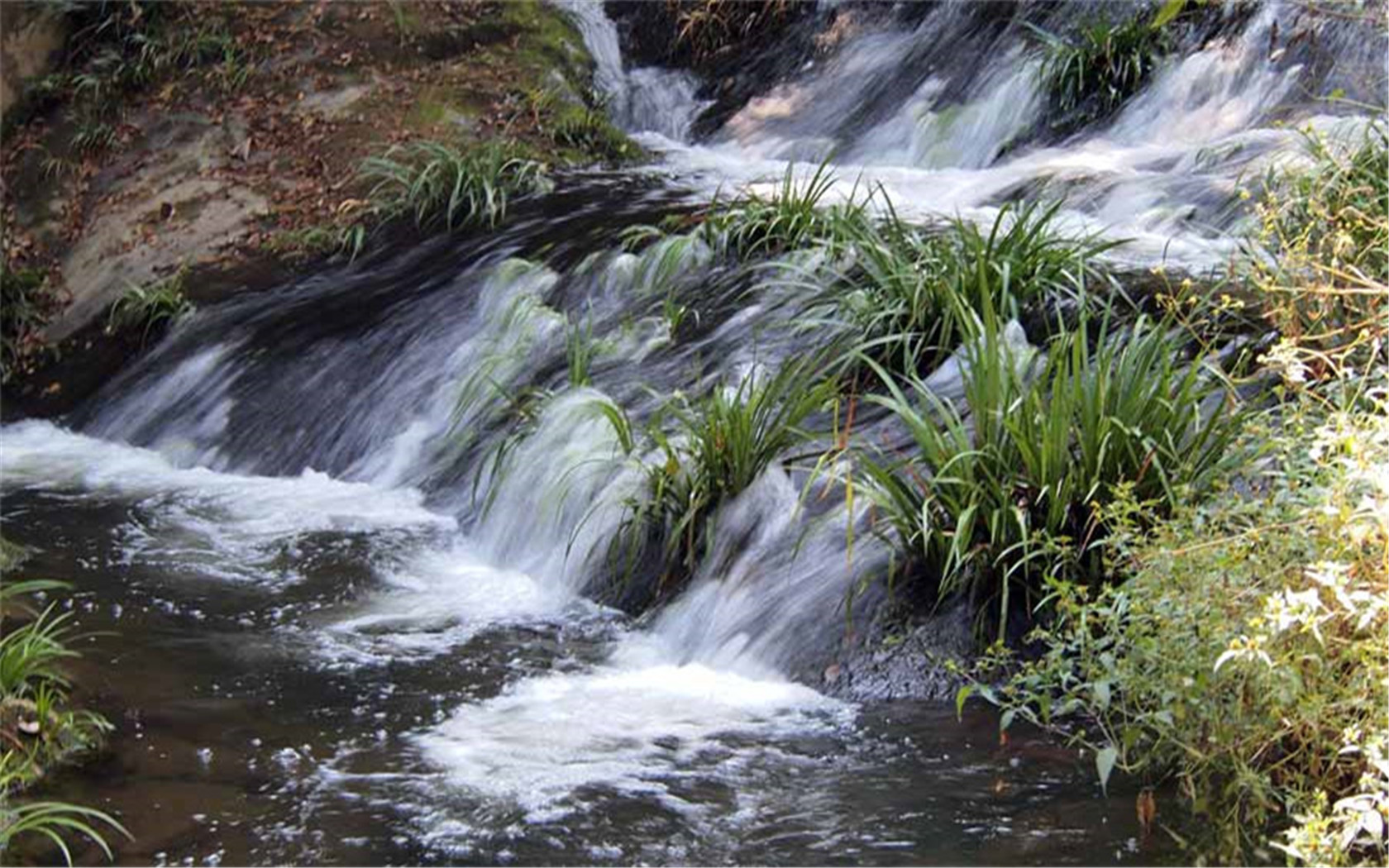 南平假期旅游攻略,南平周末去哪儿