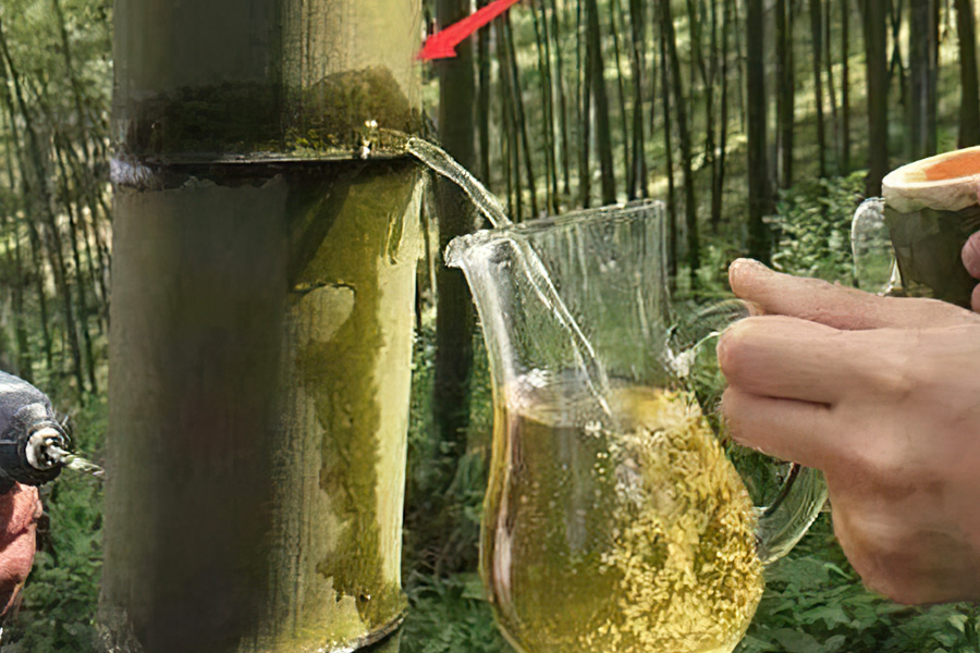 竹子里的酒是不是骗人的,竹子酒骗局揭秘视频