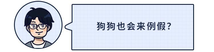 狗狗第一次来月经怕被拱了,狗狗第一次来姨妈吐了