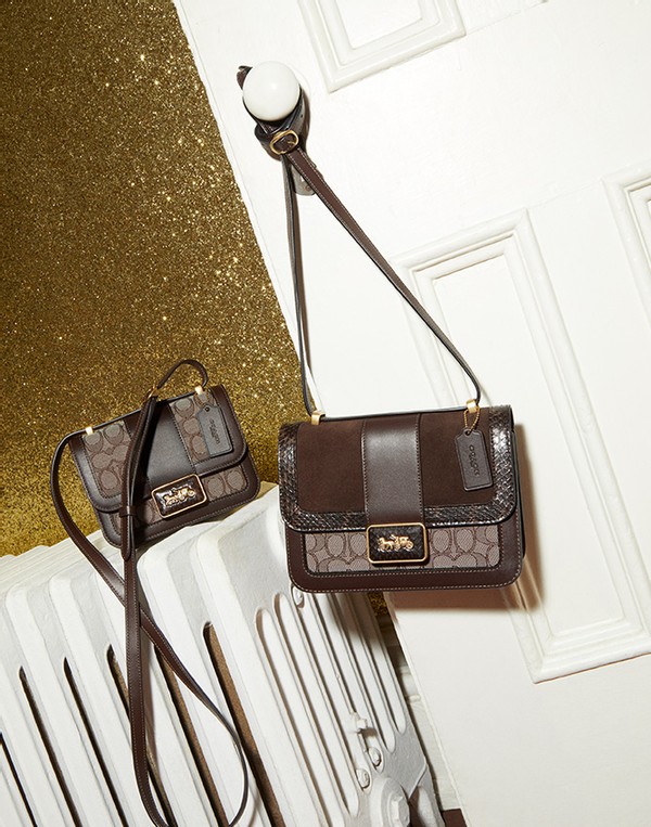 100个快速提升审美的品牌｜第十一期｜蔻驰coach