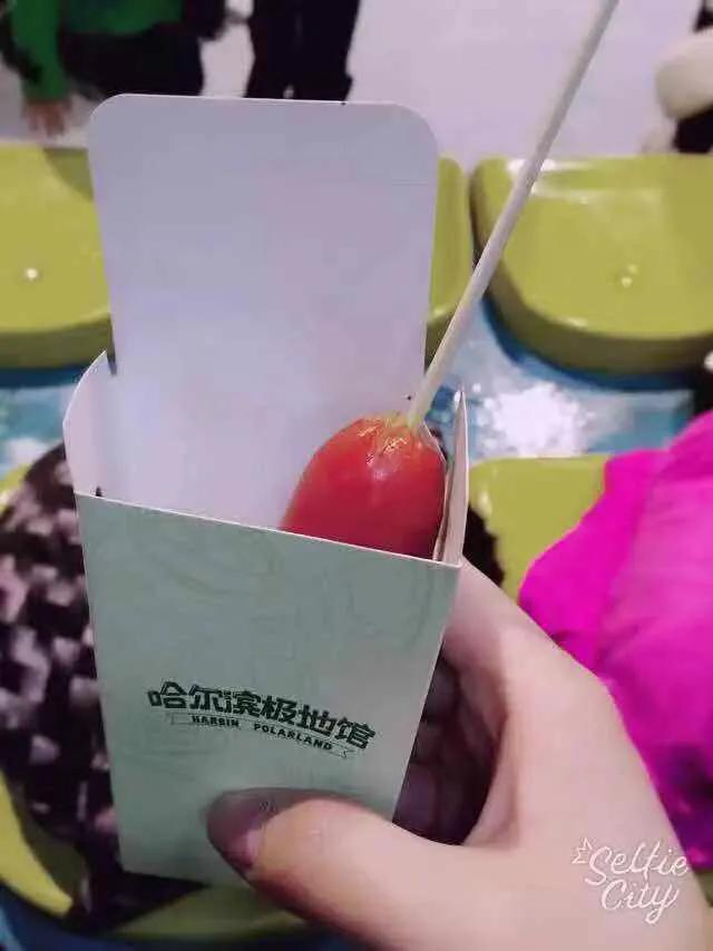 哈尔滨极地馆2期游玩攻略,哈尔滨极地馆动物视频大全