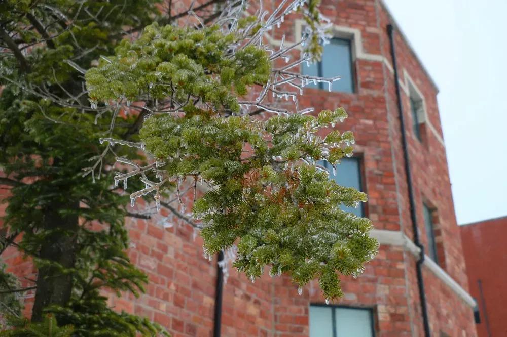 吉林市民办大学,吉林建筑大学民办