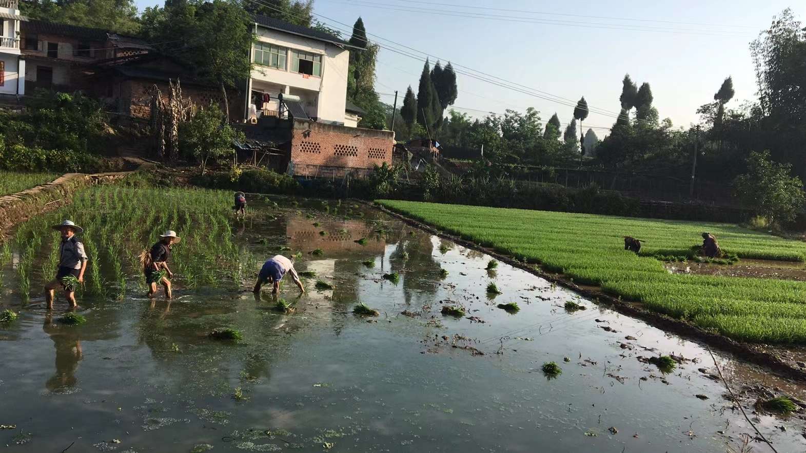 我的当兵之路800字,我的参军路