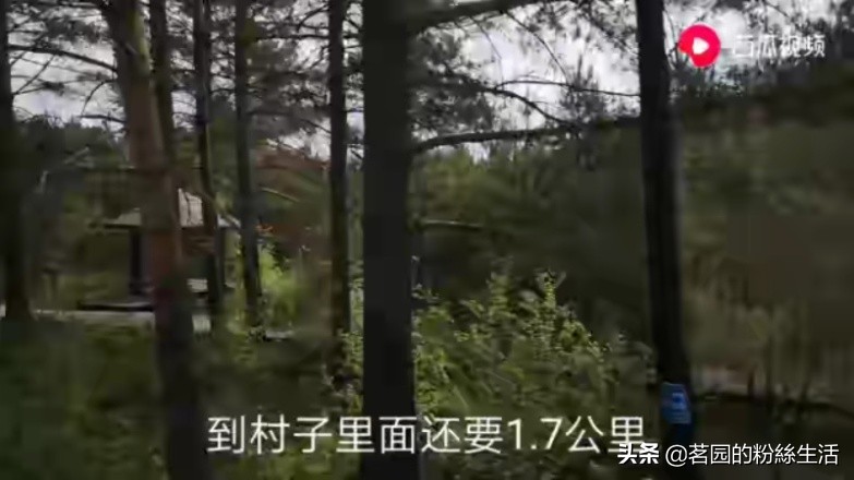 漠河北旅青年旅舍位置,漠河青年旅舍