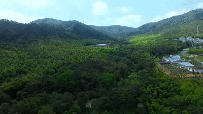 金坛适合一个人安静的地方,金坛的一个小镇