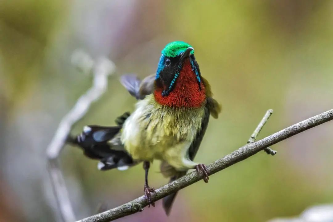「生态」我在恩平很幸福