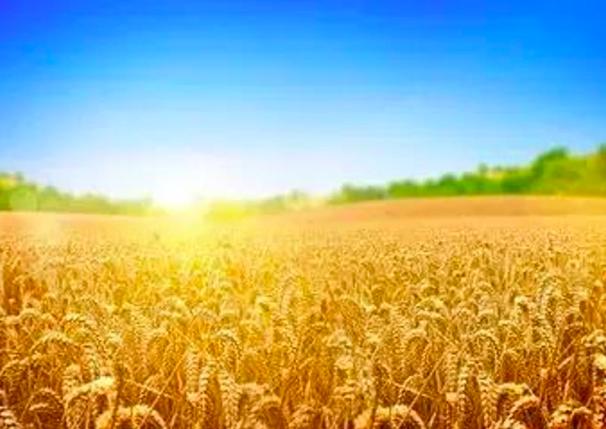 五一节劳动诗,与五一劳动节有关的诗歌精选