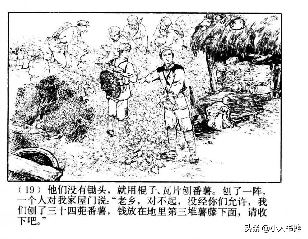 朝阳花-上海人民美术出版社1981陆成法陆小弟绘「上」