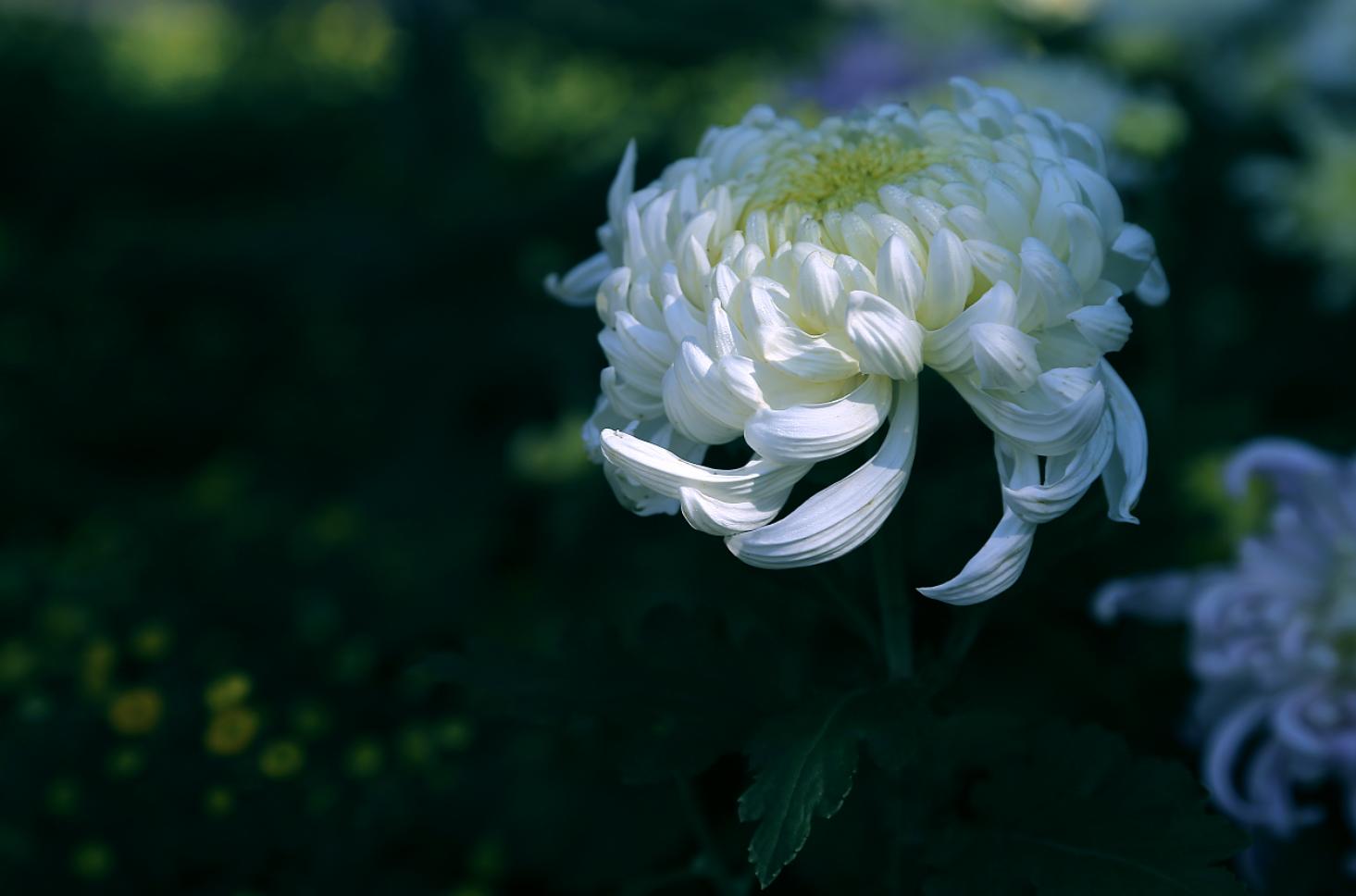 后期照片处理需要什么条件,后期如何把相片处理的清晰干净