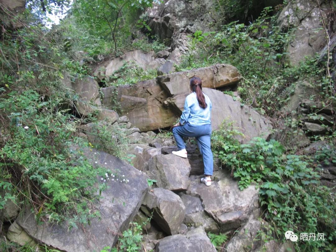 柯玲：琵琶沟，我的老家