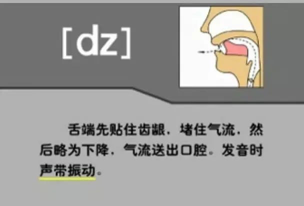 英语音标发音表48个音标正确读法,英语干货48个音标快速记忆法下
