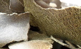 冬天用红虫酒米还是麝香酒米打窝,钓鱼怎么诱鱼打窝技巧图片