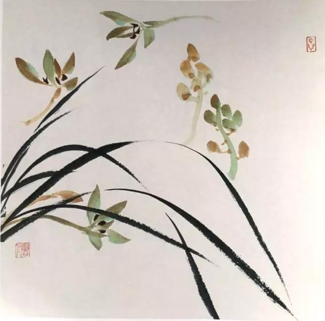 兰花绘画技法教程视频,泰国兰花绘画技法