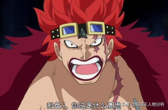 海贼王基德和索隆,海贼王基德与路飞