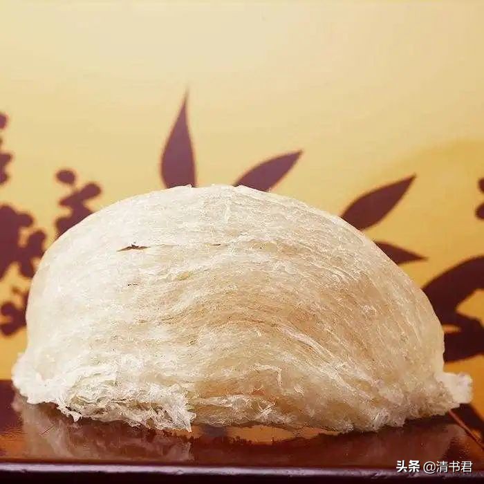 雨燕是世界上飞得最快的鸟吗,雨燕是飞得最快的燕子吗