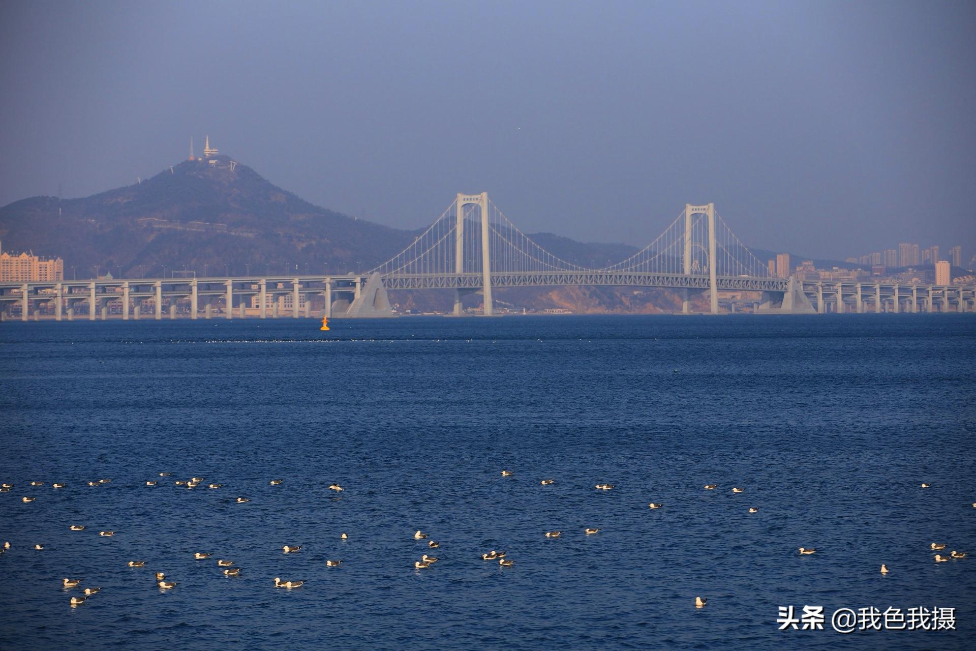 50-200mm镜头够用吗,70-200mm镜头适合拍什么