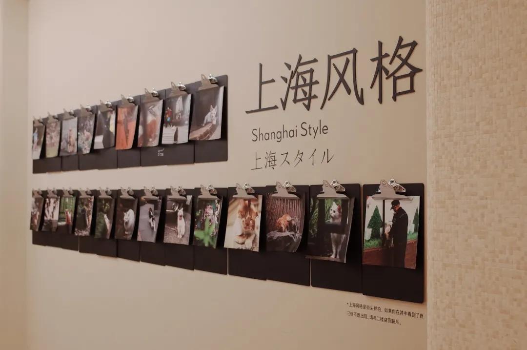 淘宝二手书店大全,上海二手书店