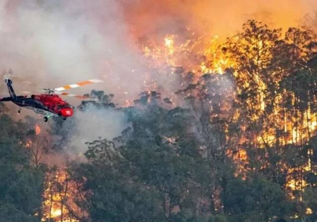 新冠肺炎、澳洲大火、东非蝗灾一系列灾难：2020年到底怎么了