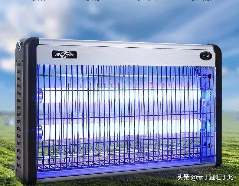 养鱼灭蚊虫最佳方法,养鱼驱蚊最好的方法