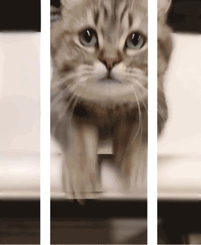 秋招考上工行科技岗要先做柜员吗,秋招建行柜员