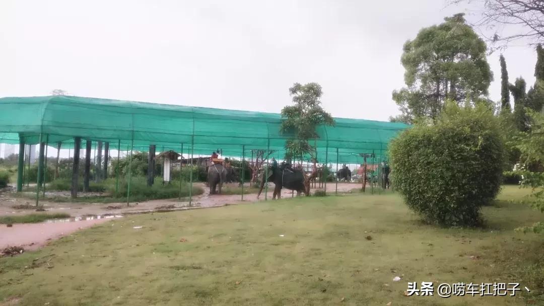 泰国旅游我和我的祖国,独自一人去泰国游