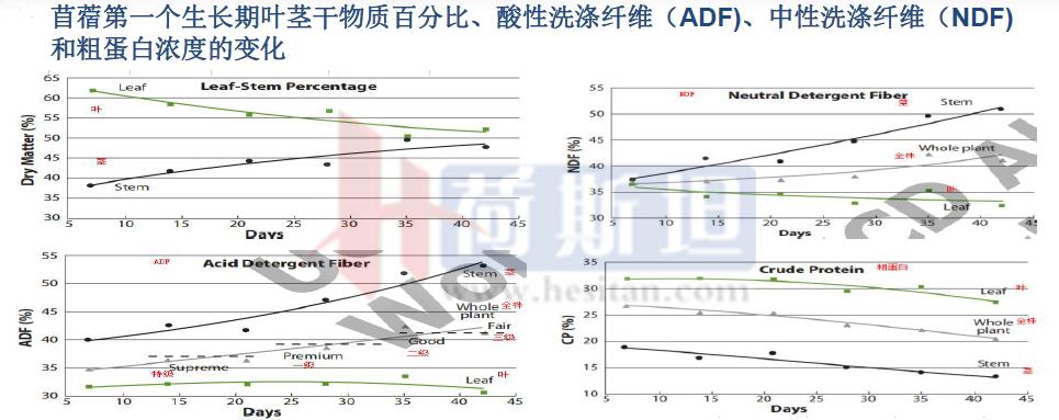 乐源牧业现有几个牧场,乐源牧业大名县牧场