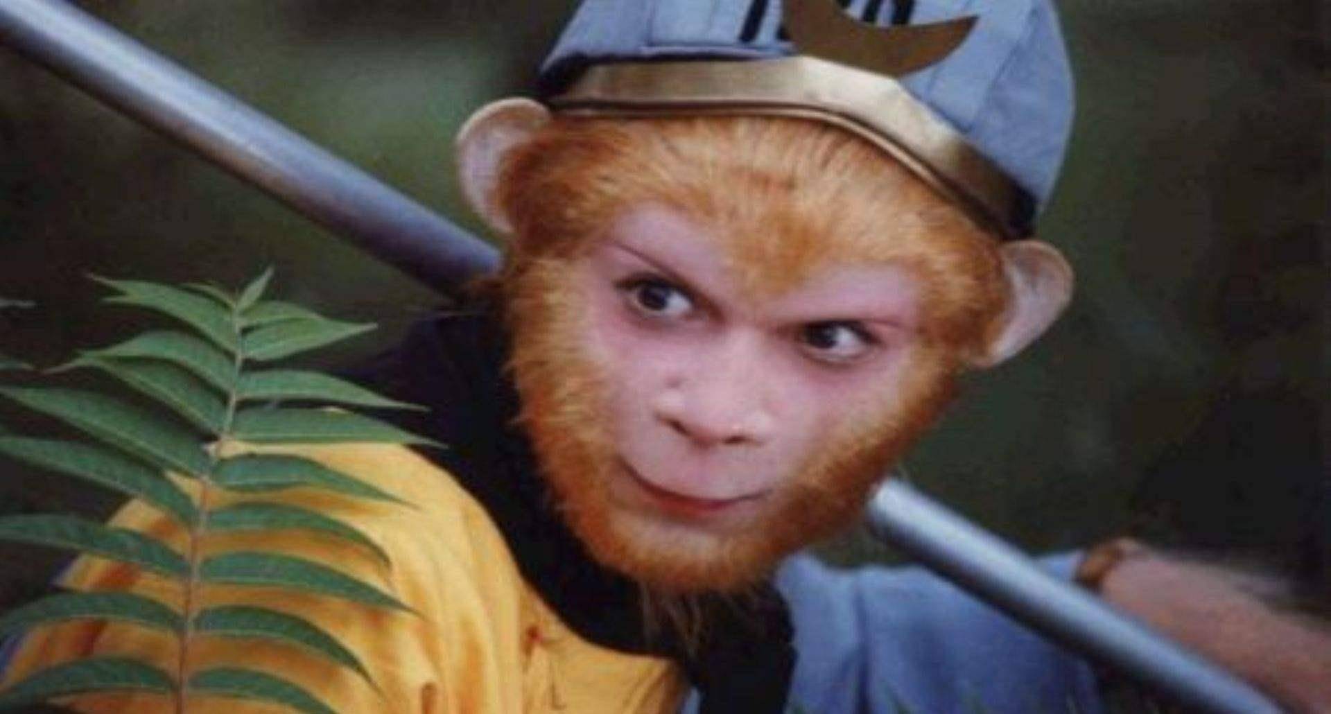 取经成功后如来为何没有感谢观音,观音取经为什么最后一无所获