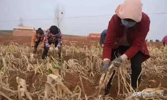 有啥捐啥！继「硬核河南」后，河南人把“厚道河南”做到了极致