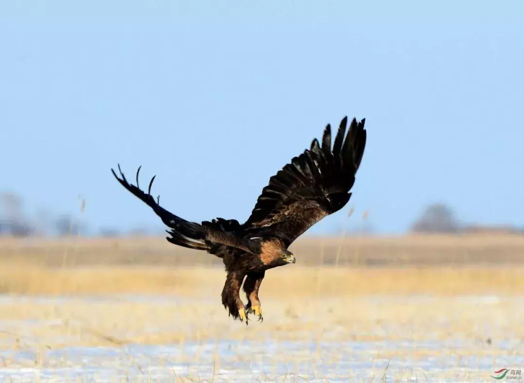 张掖啥意思,张掖古代叫什么