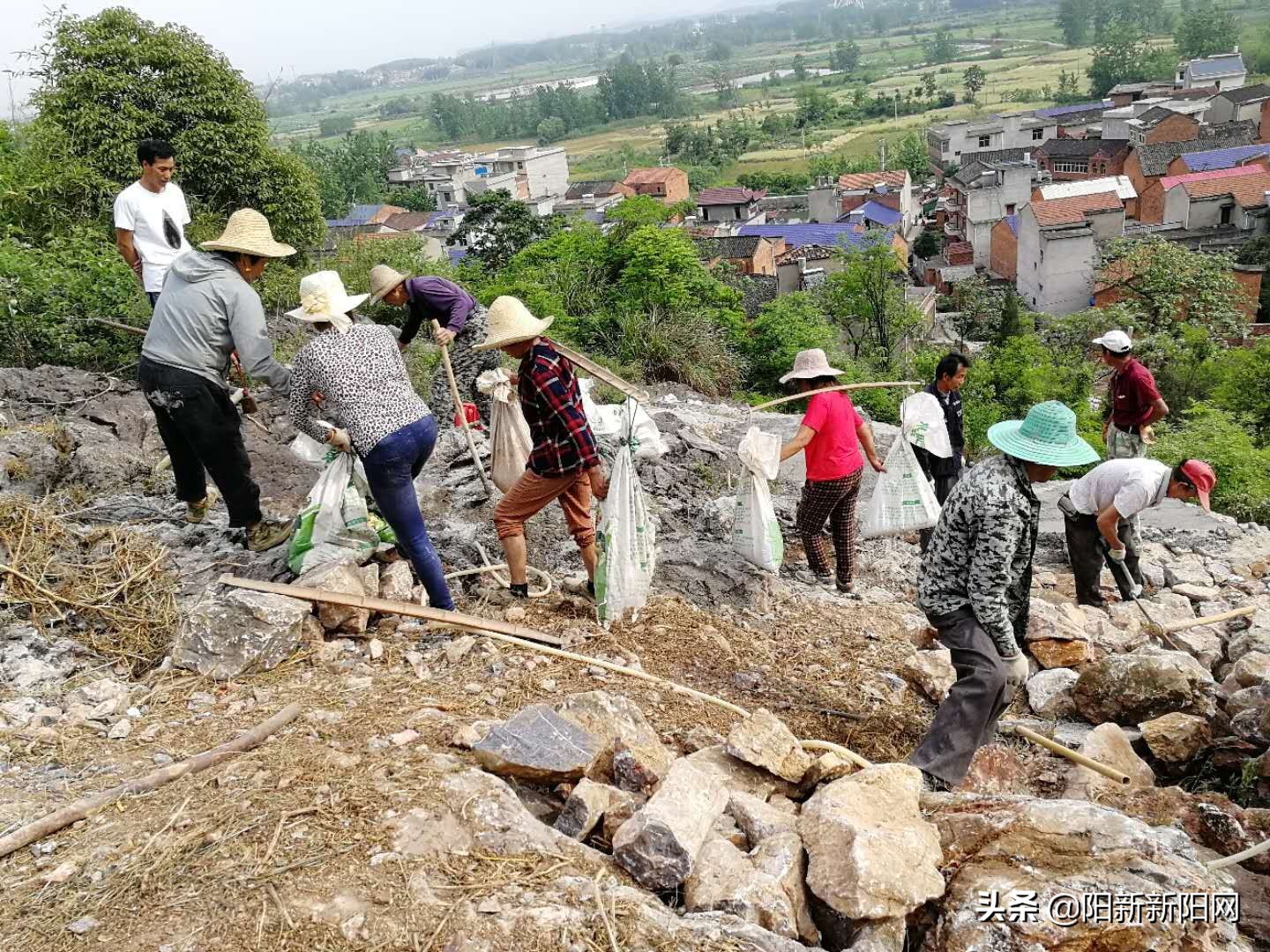 阳新县黄颡口镇发展,黄颡口镇农村建设规划