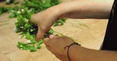 鲜花扎花束教程,手把手教你螺旋花束扎法