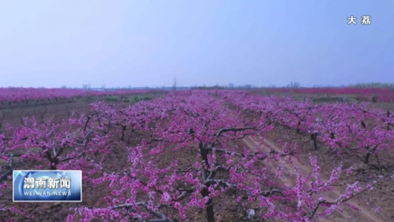 渭南昨日新闻头条,渭南昨晚新闻