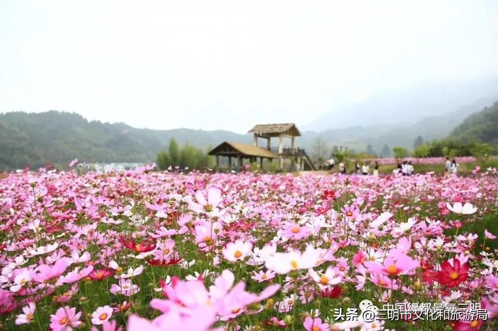 杩囧勾涓夊ぉ涓ゅ姘戝鏃呮父鎺ㄨ崘,涓夋槑閫傚悎杩囧勾鍘荤殑姘戝