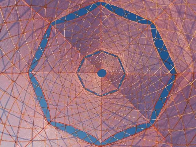 设计师在非洲做了个花篮，用来向天空借水