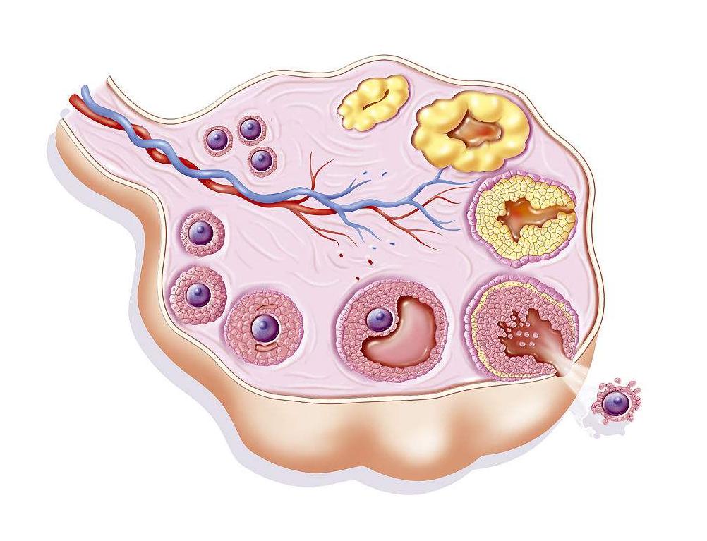容祖儿未婚吗,38岁容祖儿现状