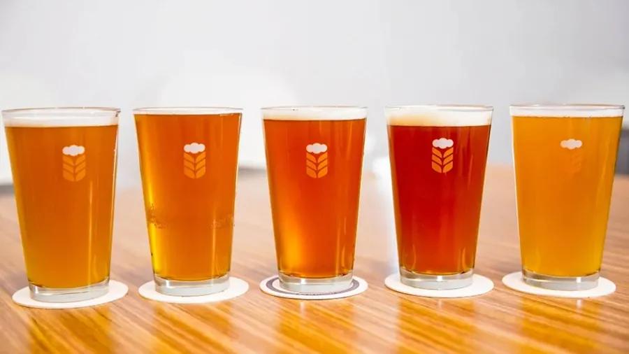 乐惠国际精酿啤酒服务平台,乐惠国际拟在昆明建精酿工厂