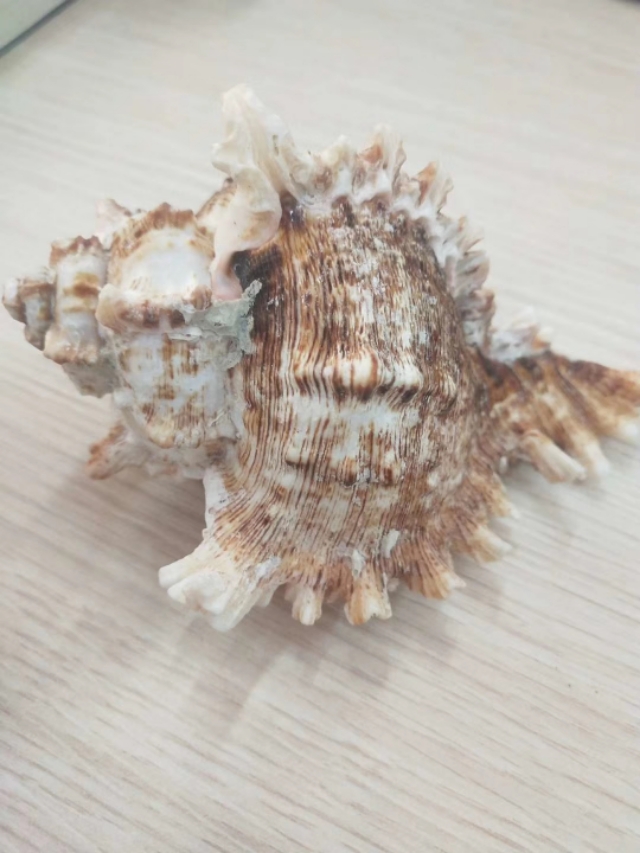 最好的母亲节礼物简单漂亮时尚,最好的母亲节礼物英文