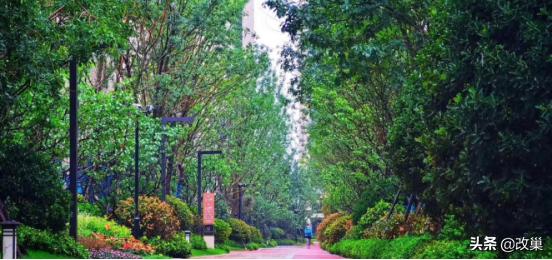 闈掑矝鑳跺窞榫欐箹,榫欐箹闈掑矝鑳跺窞