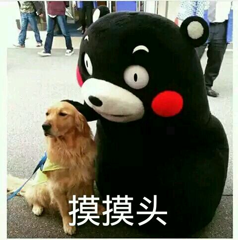 双十一“大展身手”,十二月没钱吃饭,小仙女居然这么做