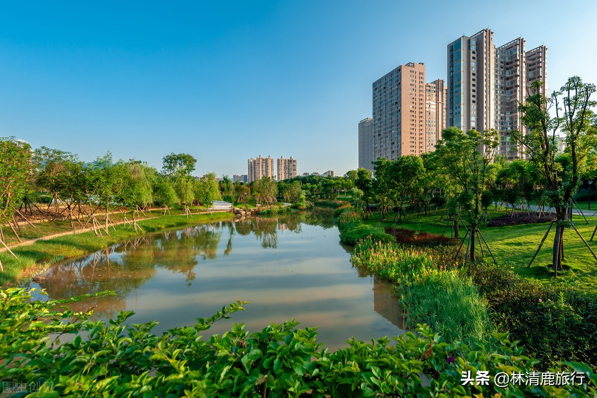 龙岩森林覆盖率最高的地方,福建龙岩森林